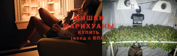 соль ск Абаза