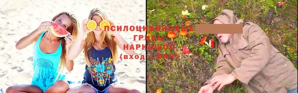 соль ск Абаза